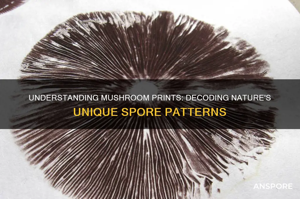 what does a mushroom print mean