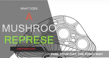 Mushroom Symbolism: Ancient Meanings and Modern Interpretations