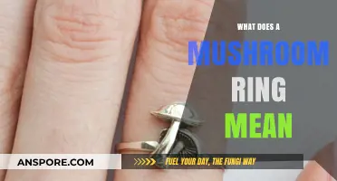 Understanding Mushroom Rings: Nature's Circular Mystery Explained Simply