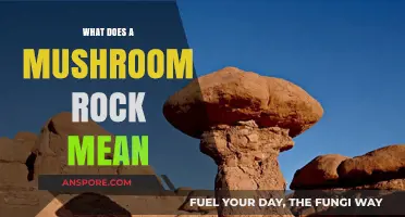 Unveiling the Mystery: What Does a Mushroom Rock Mean?