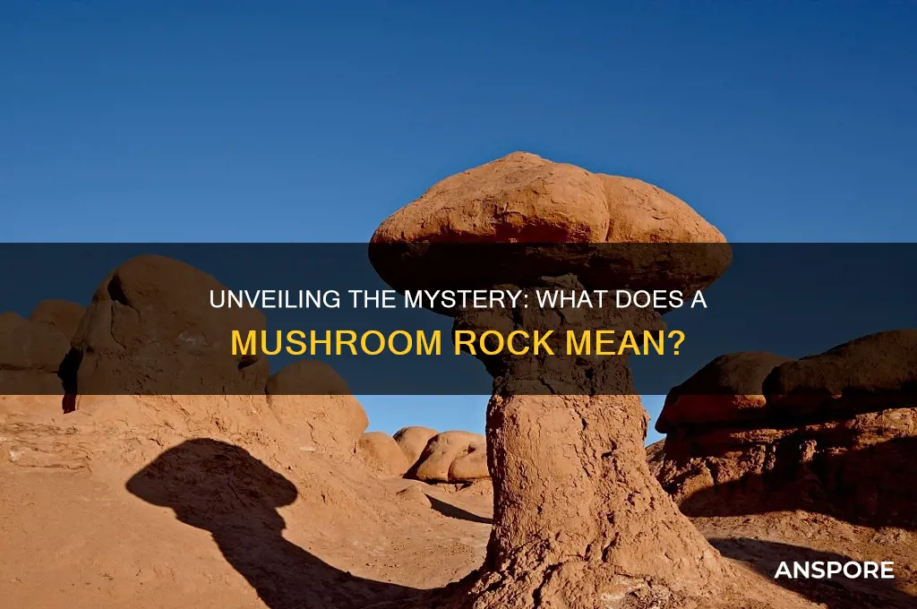 what does a mushroom rock mean