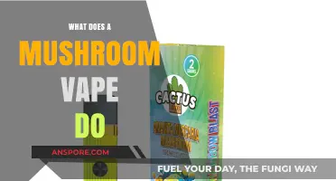 Exploring Mushroom Vapes: Effects, Benefits, and Safety Concerns Explained