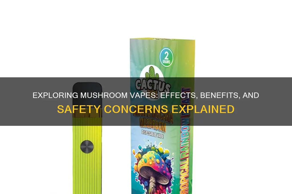 what does a mushroom vape do