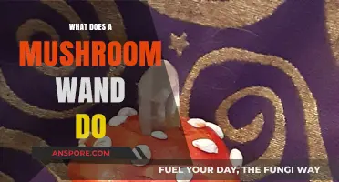 Unveiling the Mystical Powers of a Mushroom Wand: Uses and Benefits