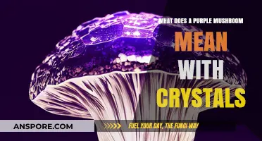 Purple Mushroom with Crystals: Unveiling Mystical Meanings and Symbolism