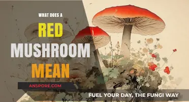 Decoding the Symbolism: What Does a Red Mushroom Mean?