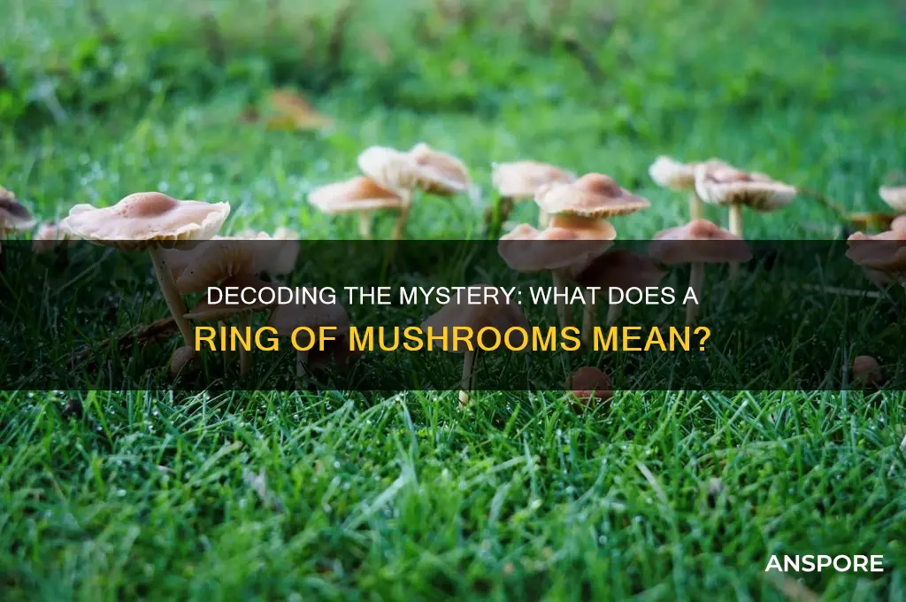 what does a ring of mushrooms mean