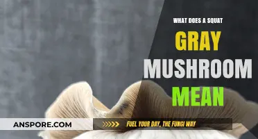 Unveiling the Mystery: What Does a Squat Gray Mushroom Mean?