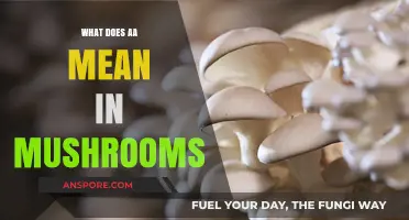 Understanding AA in Mushrooms: A Guide to Active Alkaloids