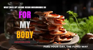 Apt Agenic Reishi Mushrooms: Unlocking Powerful Health Benefits for Your Body
