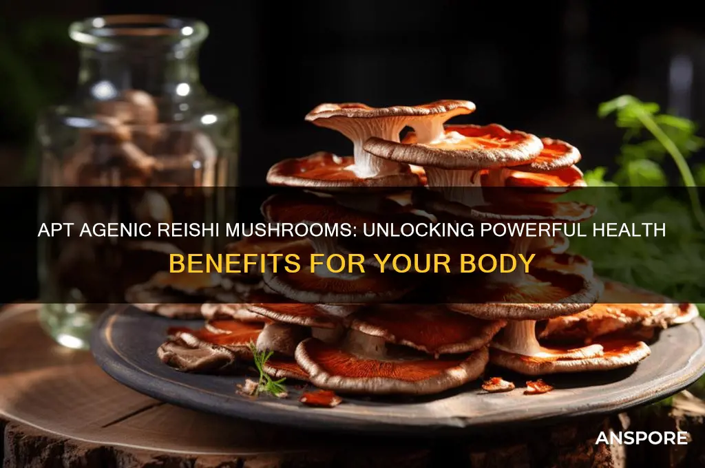 what does apt agenic reishi mushrooms do for my body