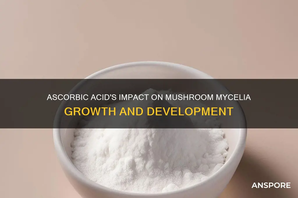 what does ascorbic acid do to mushroom mycelia