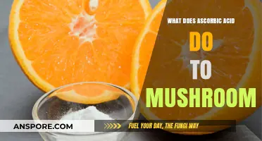 How Ascorbic Acid Enhances Mushroom Growth, Preservation, and Nutritional Value