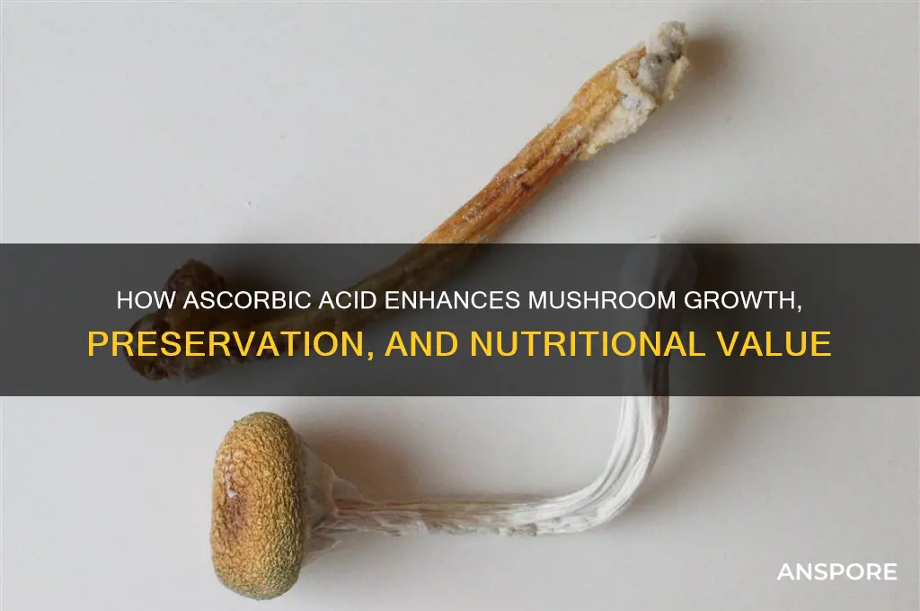 what does ascorbic acid do to mushrooms