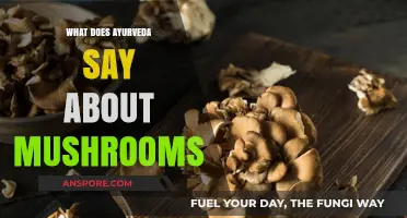 Ayurveda's Insights on Mushrooms: Benefits, Uses, and Healing Properties
