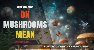 Exploring the Psychedelic Experience: What Does Being on Mushrooms Mean?