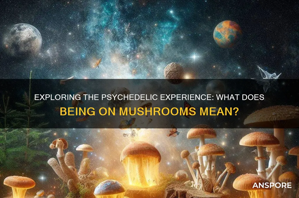 what does being on mushrooms mean