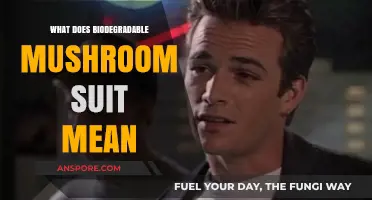 Understanding the Eco-Friendly Concept of Biodegradable Mushroom Suits