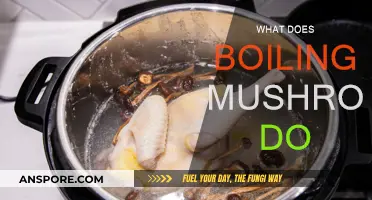 Boiling Mushrooms: What's the Science?
