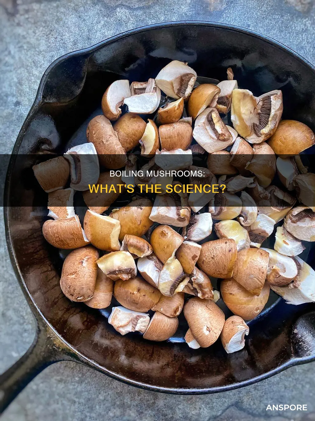 what does boiling mushrooms do