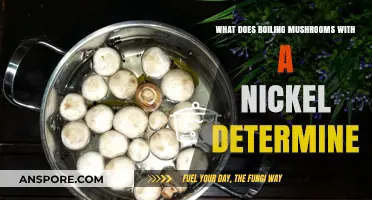 Boiling Mushrooms with Nickel: Unveiling Its Purpose and Chemical Insights