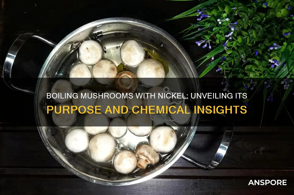 what does boiling mushrooms with a nickel determine
