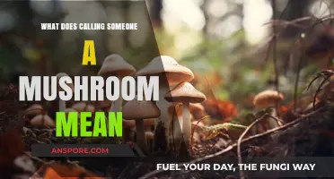 What Does Calling Someone a Mushroom Mean? Unveiling the Slang