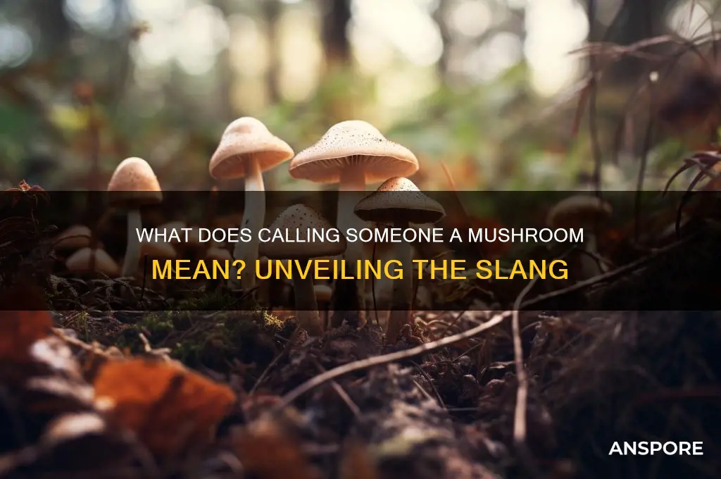 what does calling someone a mushroom mean