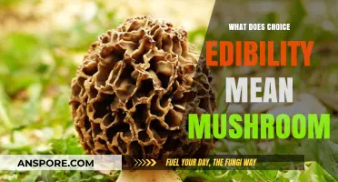 Understanding Choice Edibility in Mushrooms: A Guide to Safe Foraging