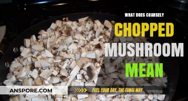 Understanding Coarsely Chopped Mushrooms: A Simple Guide for Perfect Cuts