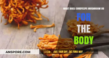 Cordyceps Mushroom Benefits: Boosting Energy, Immunity, and Overall Health Naturally