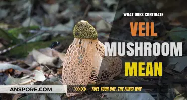 Understanding the Cortinate Veil Mushroom: Meaning, Uses, and Identification Tips