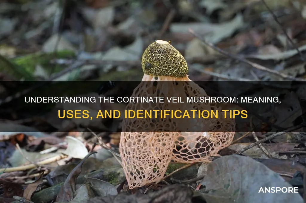 what does cortinate veil mushroom mean