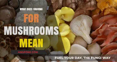 Unraveling the Mystery: What Your Mushroom Cravings Could Indicate