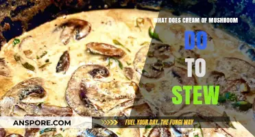 Cream of Mushroom Magic: Transforming Stews with Richness and Depth