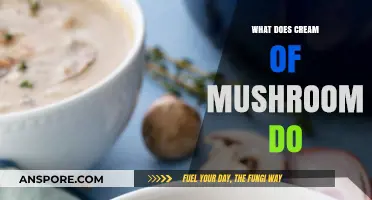 Cream of Mushroom: Uses, Benefits, and Culinary Magic Explained