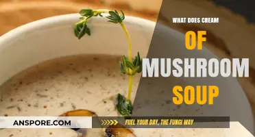 Cream of Mushroom Soup: Ingredients, Uses, and Culinary Versatility Explained
