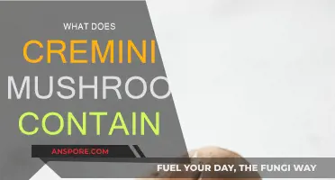 Cremini Mushrooms: Nutrition Facts and Health Benefits