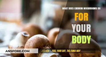 Cremini Mushrooms: Unlocking Nutritional Benefits and Health Boosts for Your Body