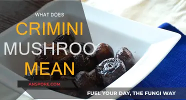 Crimini Mushrooms: What Are They and How to Use Them?