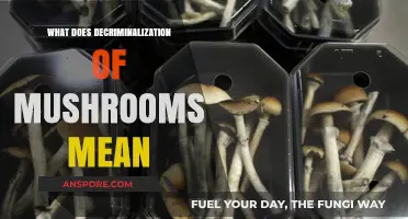 Understanding Decriminalization: What It Means for Magic Mushrooms Legally