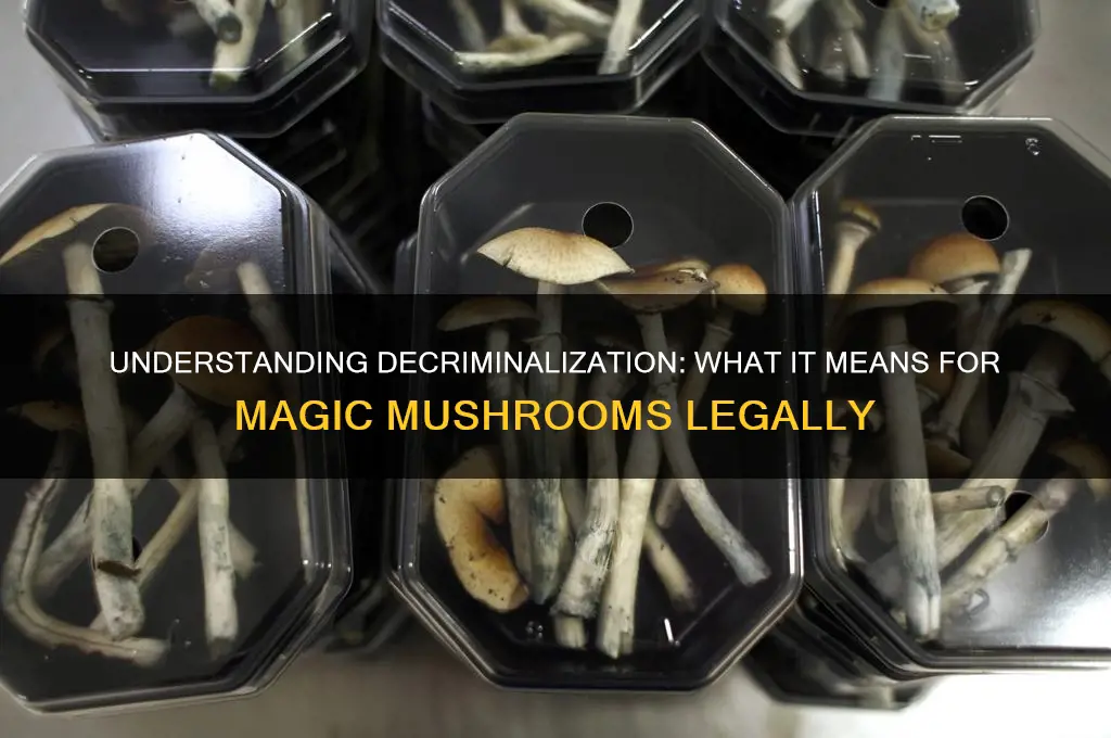 what does decriminalization of mushrooms mean