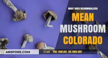Understanding Colorado's Decriminalized Mushrooms: Legal Changes and Implications