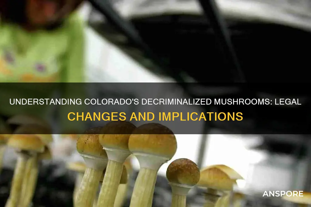 what does decriminalized mean mushrooms colorado