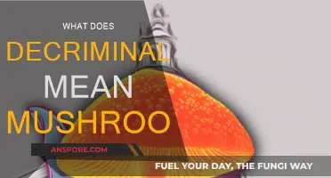 Magic Mushroom Decriminalization: What Does It Mean?