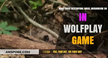 Destroying Angel Mushroom's Role and Effects in WolfPlay Game Explained