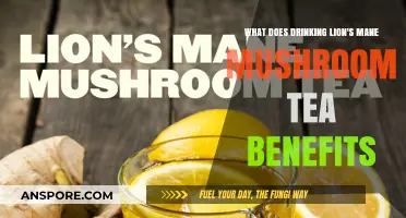 Lion's Mane Mushroom Tea: Cognitive Boost, Immune Support, and More Benefits