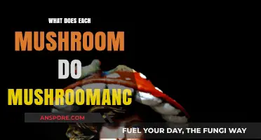 Unveiling Mushroomancer's Secrets: Exploring Each Mushroom's Unique Abilities