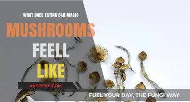 The Unsettling Experience of Consuming Contaminated Magic Mushrooms
