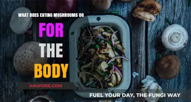 Mushrooms' Health Benefits: Boosting Immunity, Energy, and Gut Health Naturally